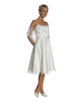 Prom Dress 1056